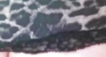 శృంగారమైన ఇవా ఎల్ఫీ స్నేహితులు తీసుకువచ్చింది తెలుగు సెక్స్ వీడియోస్ కమింగ్ మరియు ప్రియుడు తో ఒక ఫక్ చేసిన