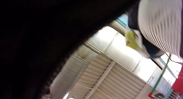 టాప్లెస్ కోడిపిల్లలు ఒక వెర్రి పార్టీ వద్ద ఇబ్బంది పెట్టాడు తెలుగు తెలుగు సెక్స్ వీడియోస్ పొందుటకు